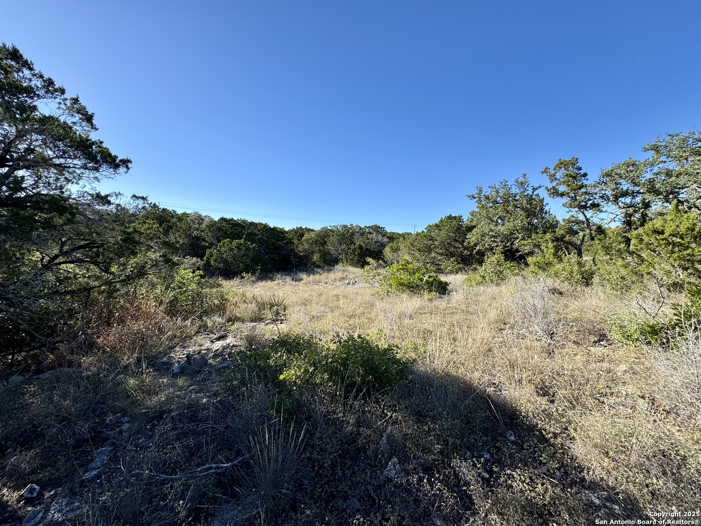 Lot 31 W Cr 2801 Mico TX 78056