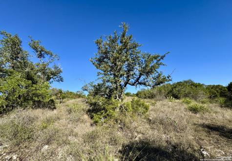 Lot 31 W Cr 2801 Mico TX 78056