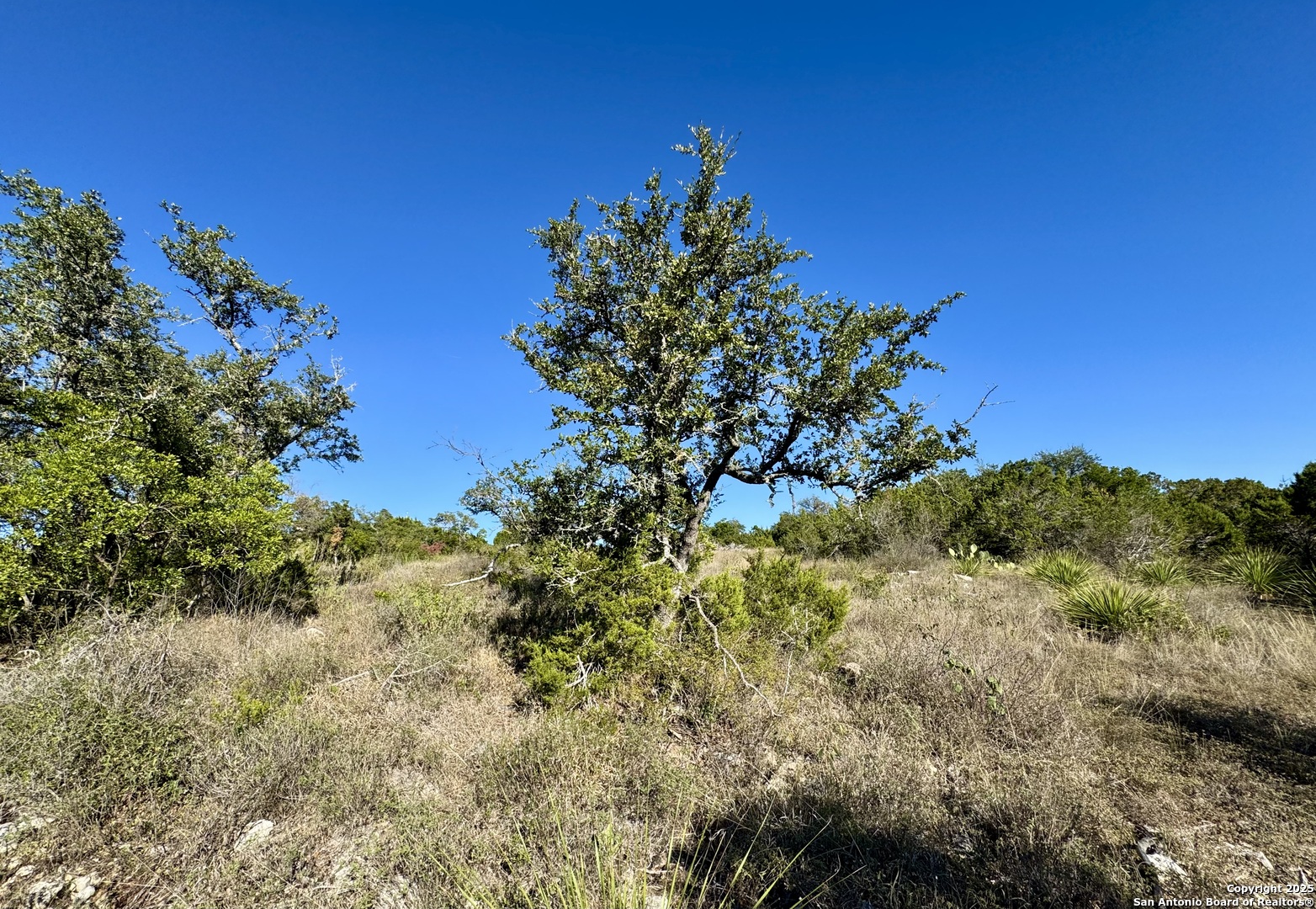 Lot 31 W Cr 2801 Mico TX 78056