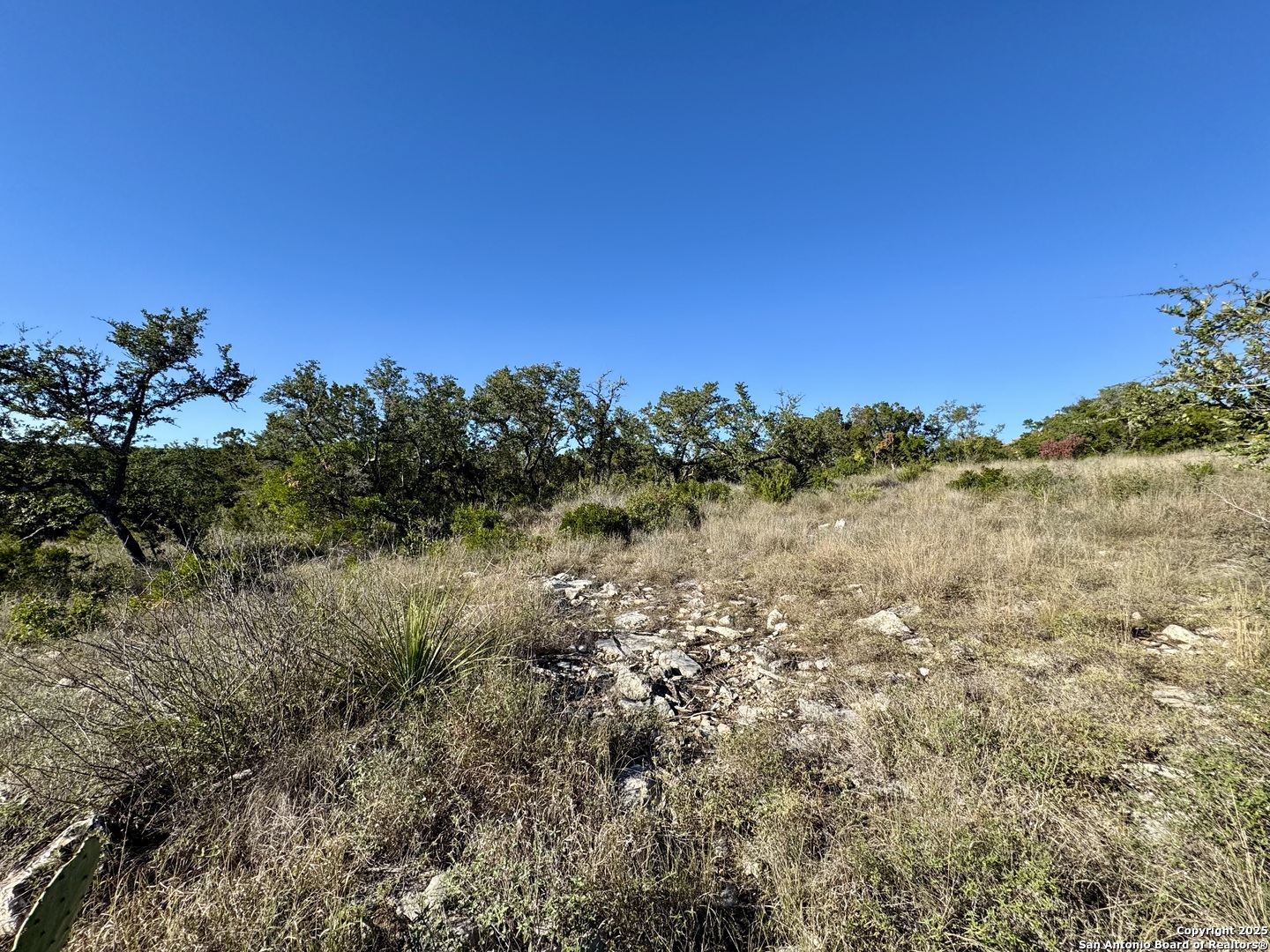 Lot 31 W Cr 2801 Mico TX 78056
