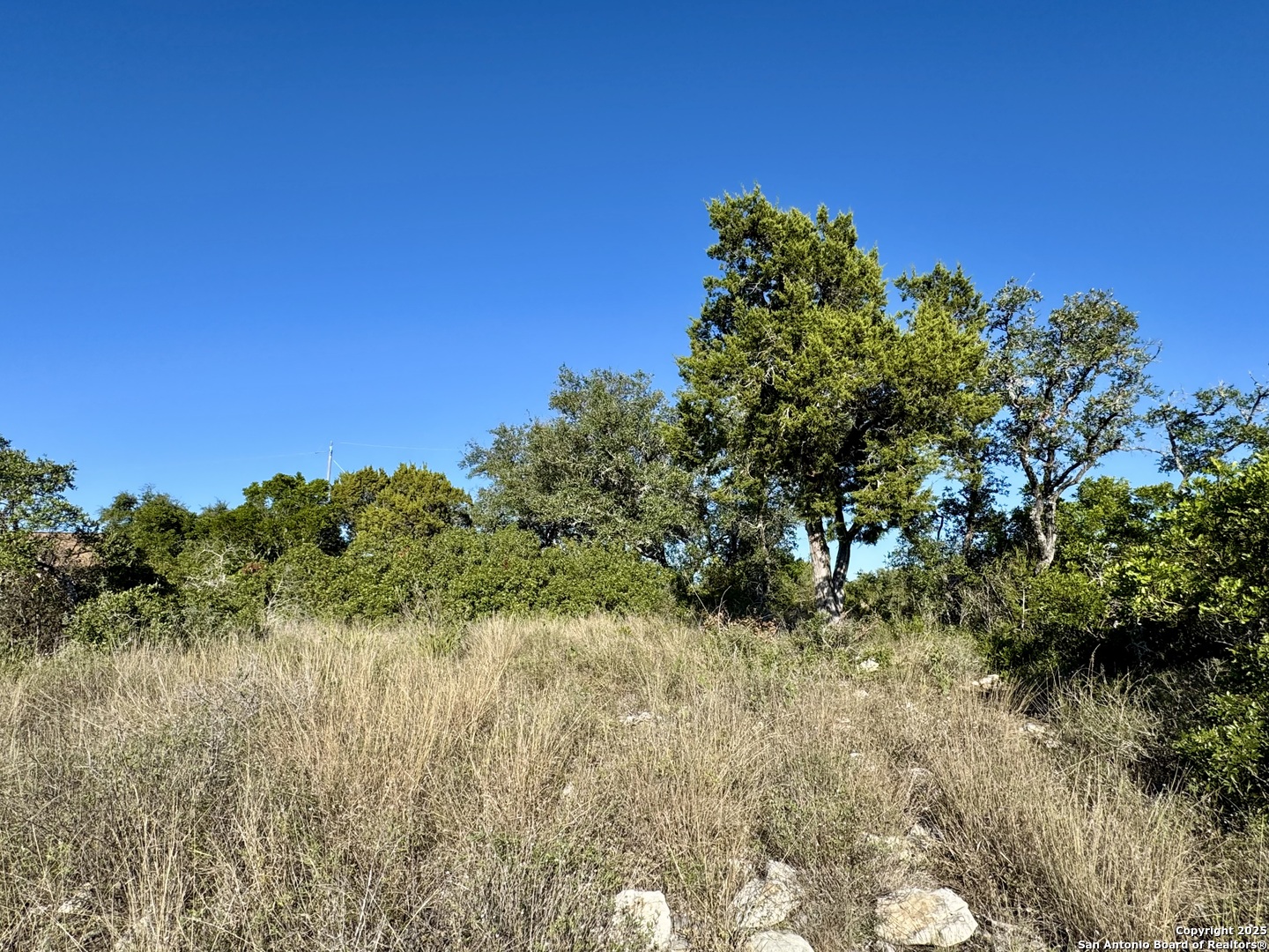 Lot 31 W Cr 2801 Mico TX 78056