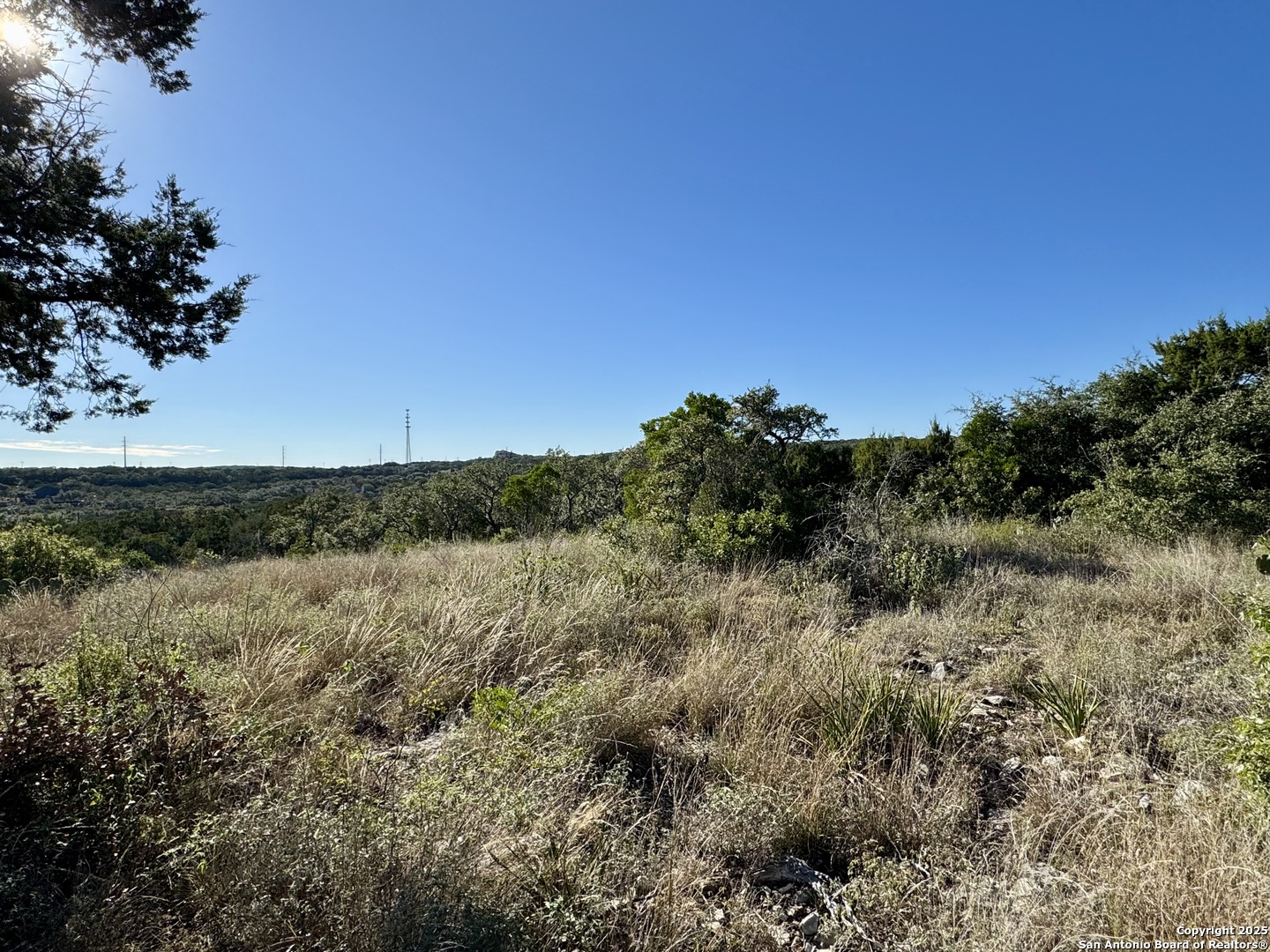 Lot 31 W Cr 2801 Mico TX 78056