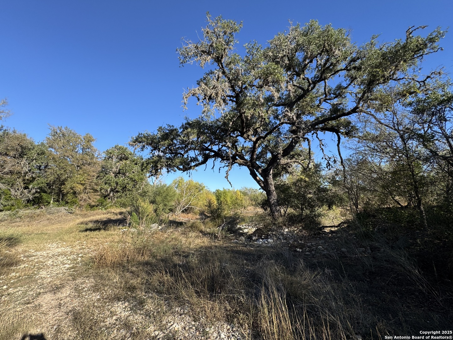 Lot 31 W Cr 2801 Mico TX 78056