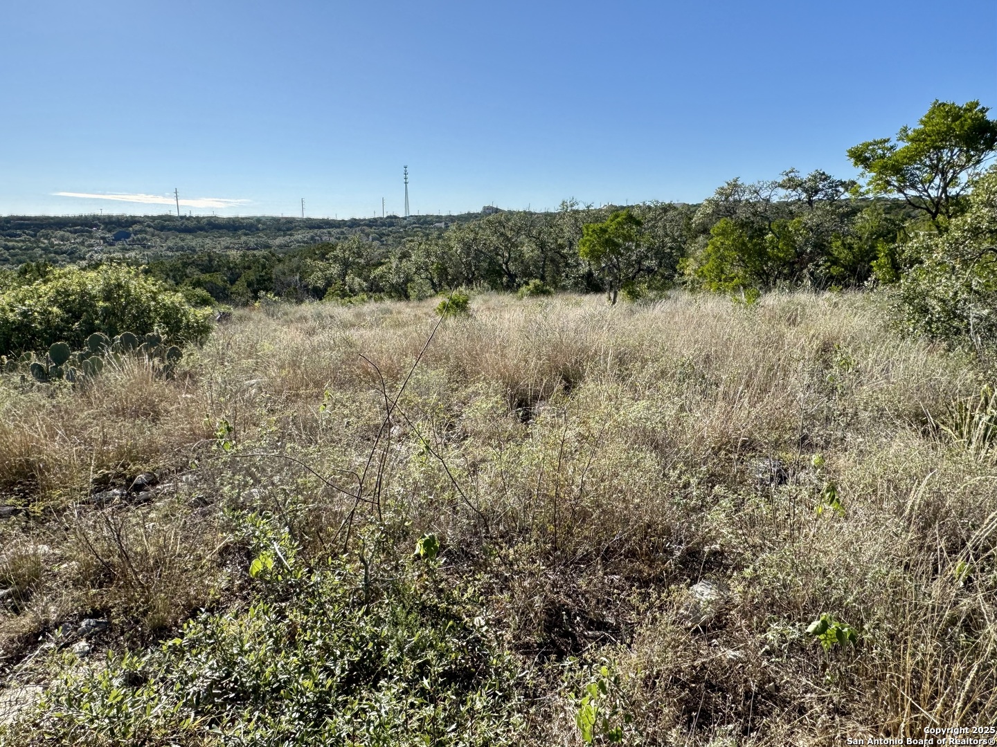 Lot 31 W Cr 2801 Mico TX 78056