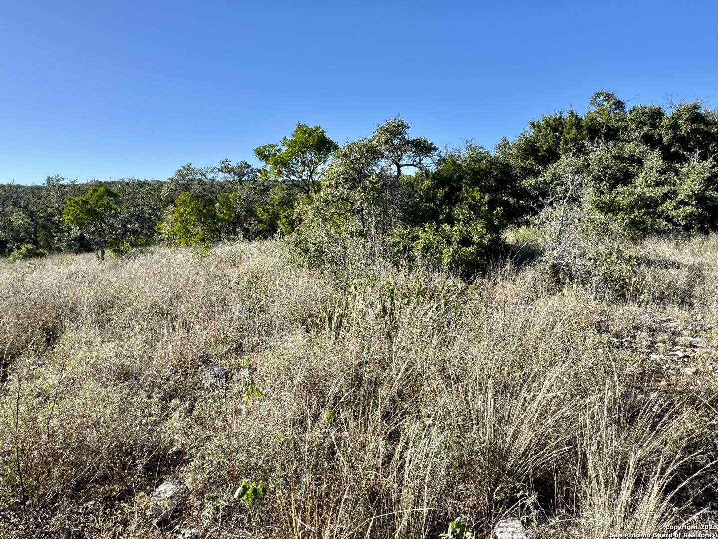 Lot 31 W Cr 2801 Mico TX 78056