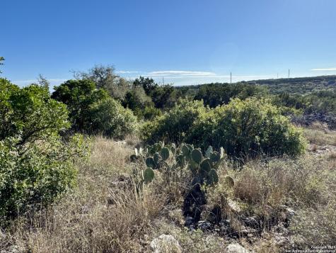 Lot 31 W Cr 2801 Mico TX 78056