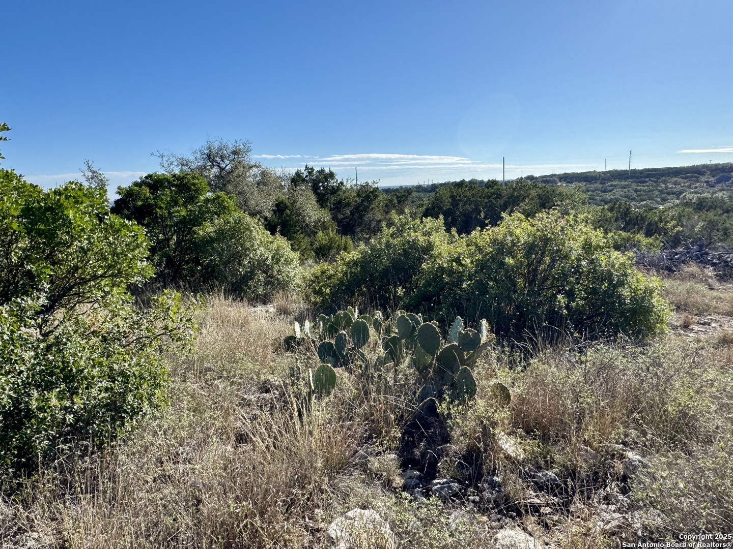 Lot 31 W Cr 2801 Mico TX 78056