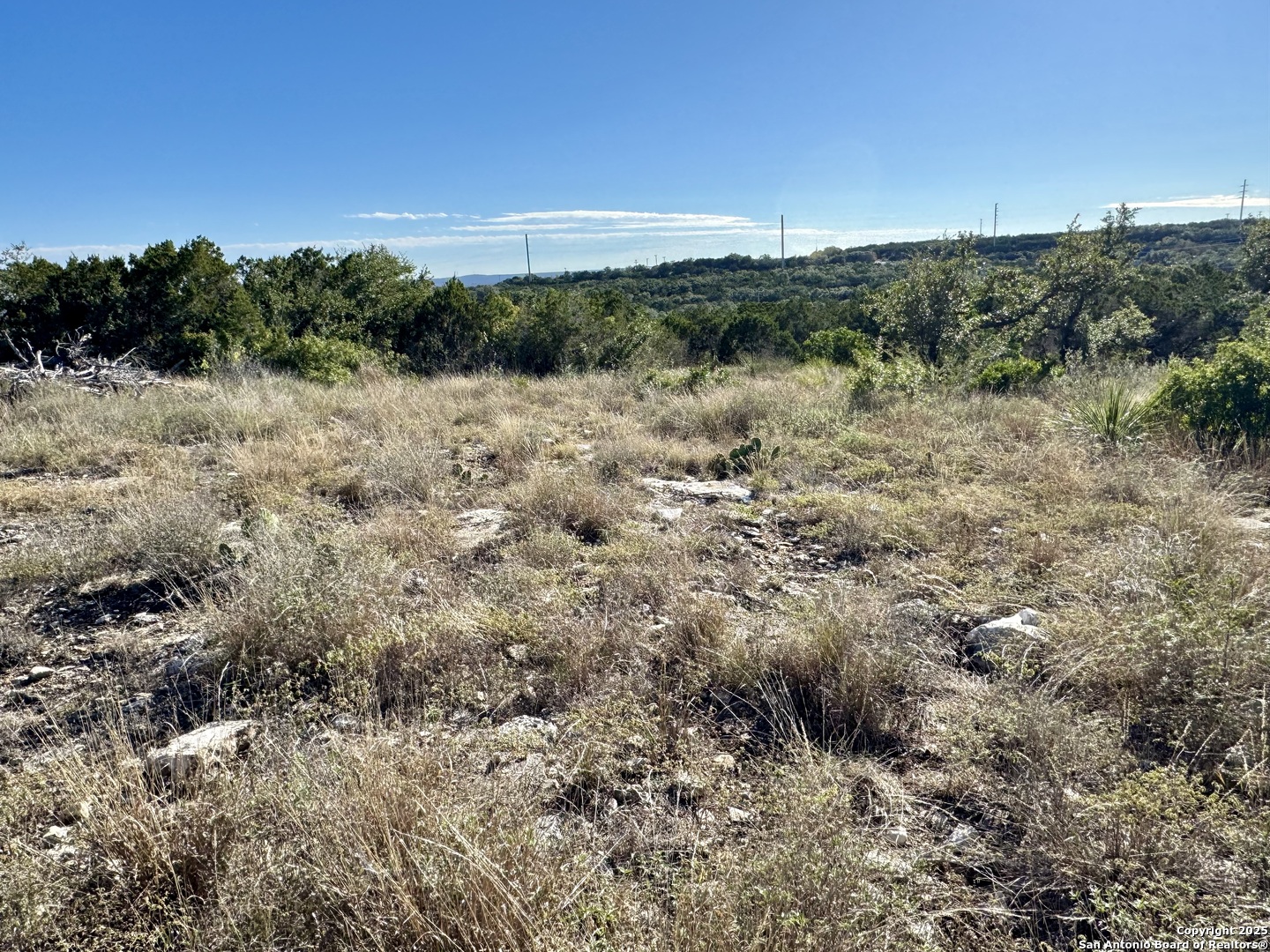 Lot 31 W Cr 2801 Mico TX 78056