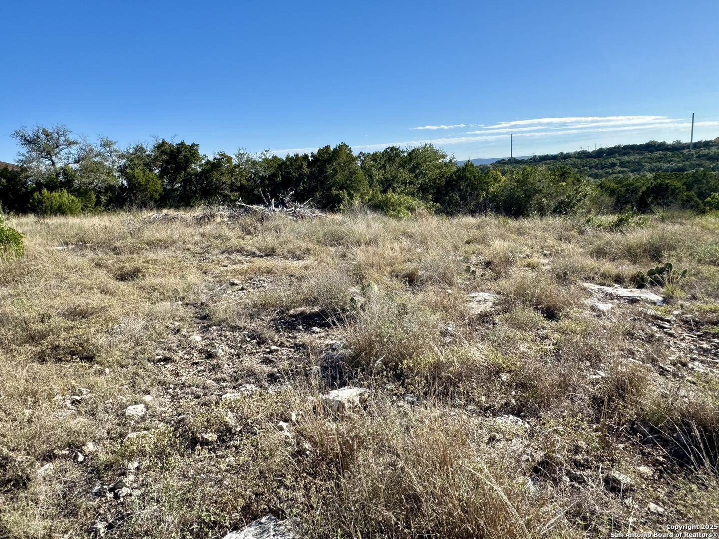 Lot 31 W Cr 2801 Mico TX 78056