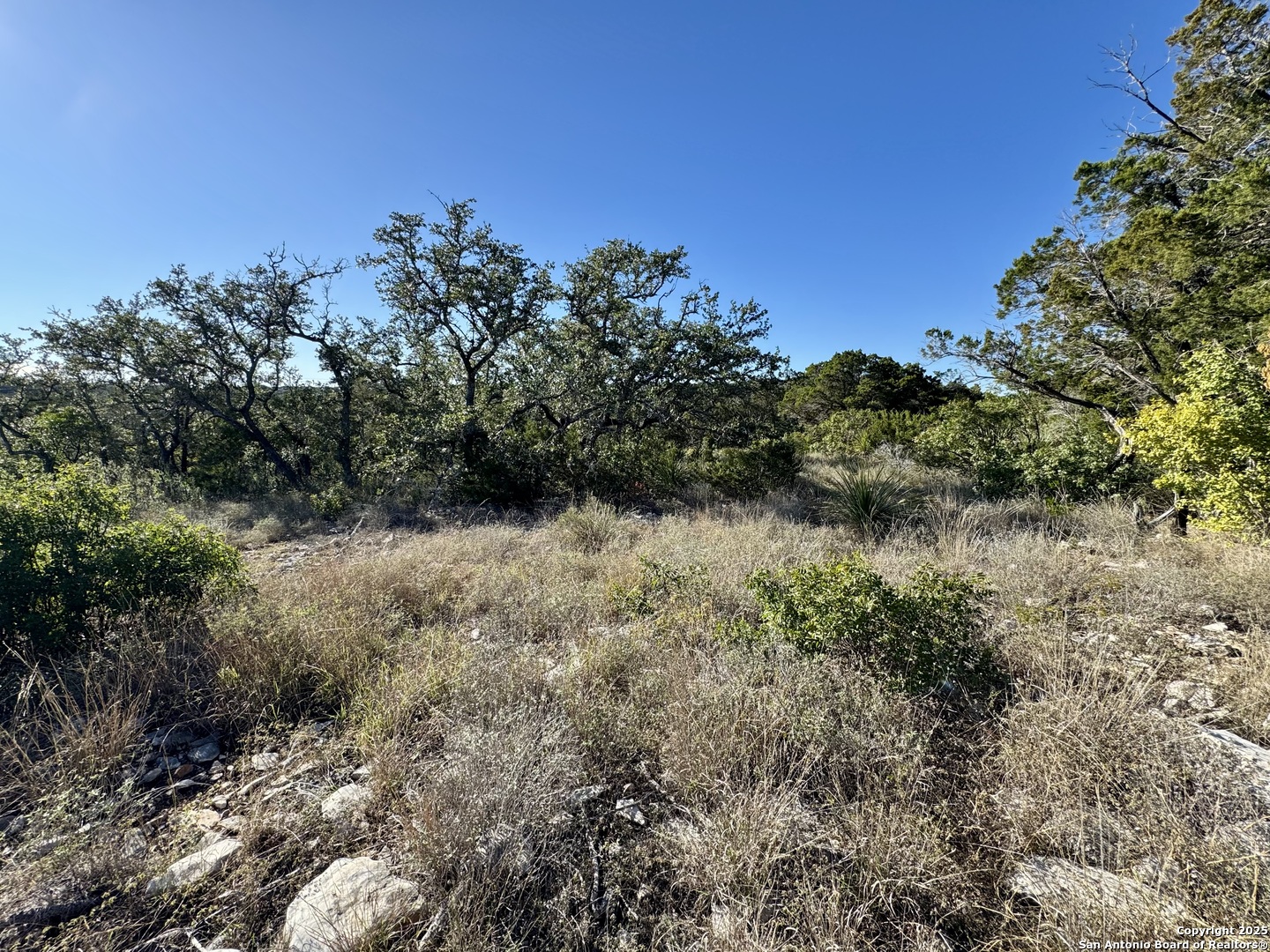 Lot 31 W Cr 2801 Mico TX 78056