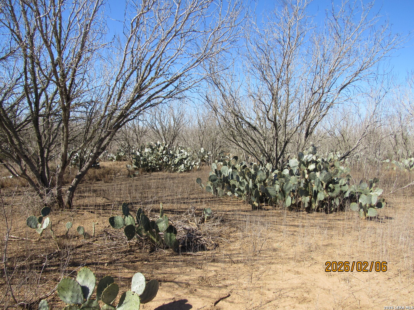 2662 County Road 307 Floresville TX 78114