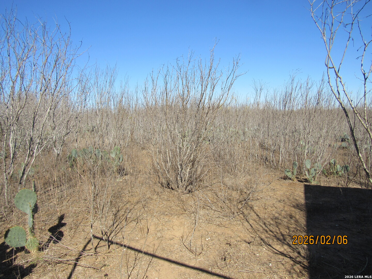 2662 County Road 307 Floresville TX 78114