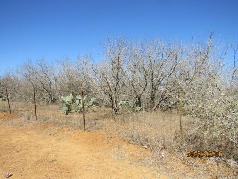 2662 County Road 307 Floresville TX 78114