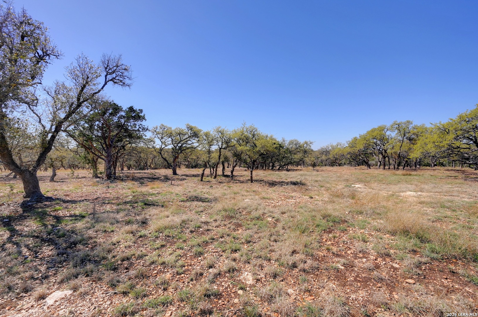 2803 Zenner Ahrens Fredericksburg TX 78624