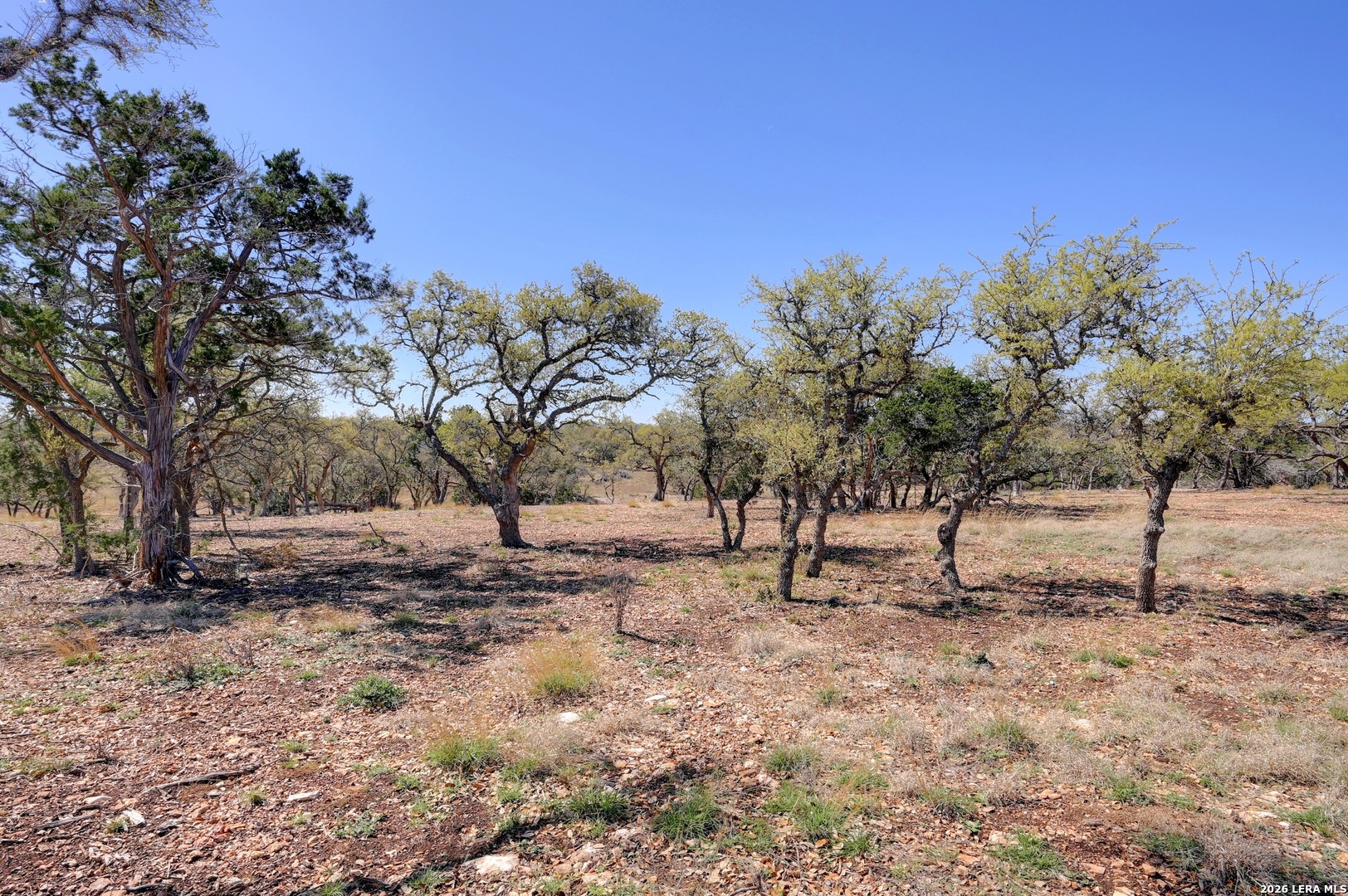 2803 Zenner Ahrens Fredericksburg TX 78624