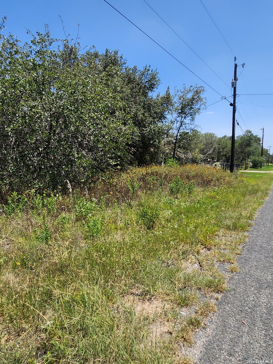 24114 Tumbleweed Lane San Antonio TX 78264