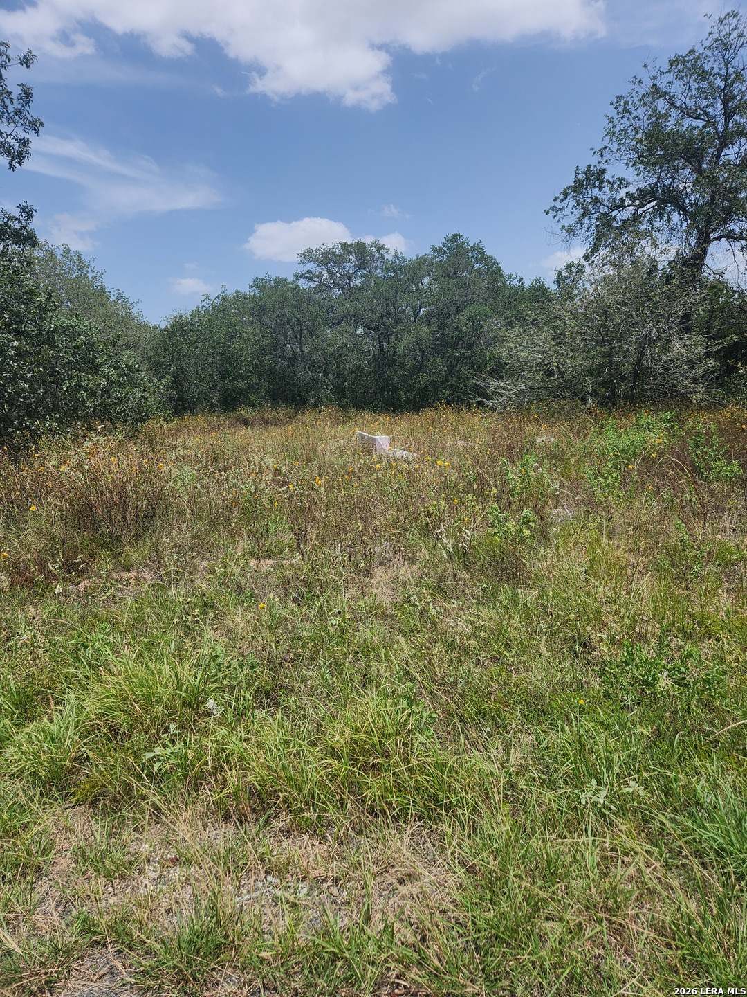 24114 Tumbleweed Lane San Antonio TX 78264