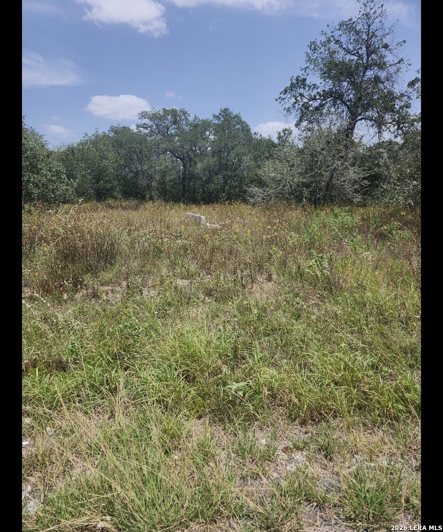 24114 Tumbleweed Lane San Antonio TX 78264