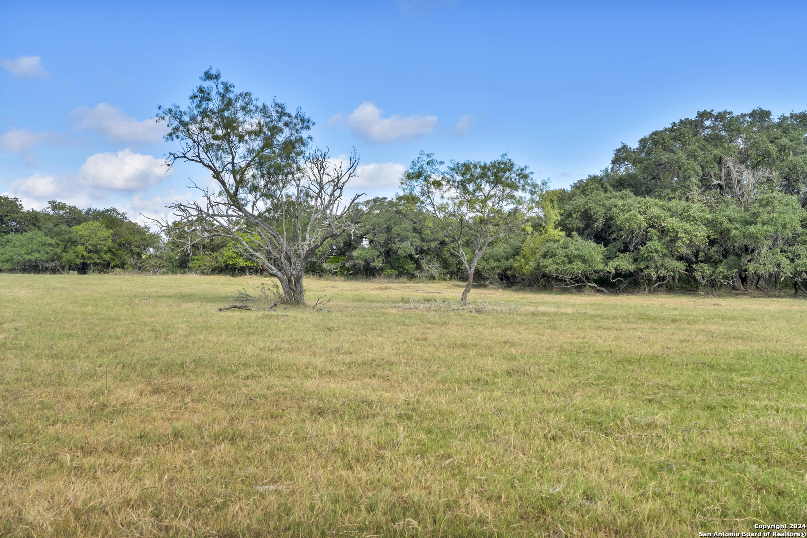 12153 E Us Hwy 87 W La Vernia TX 78121