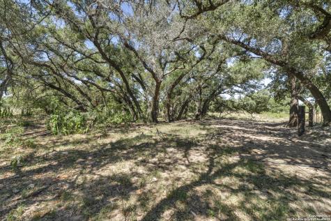 12153 E Us Highway 87 W La Vernia TX 78121