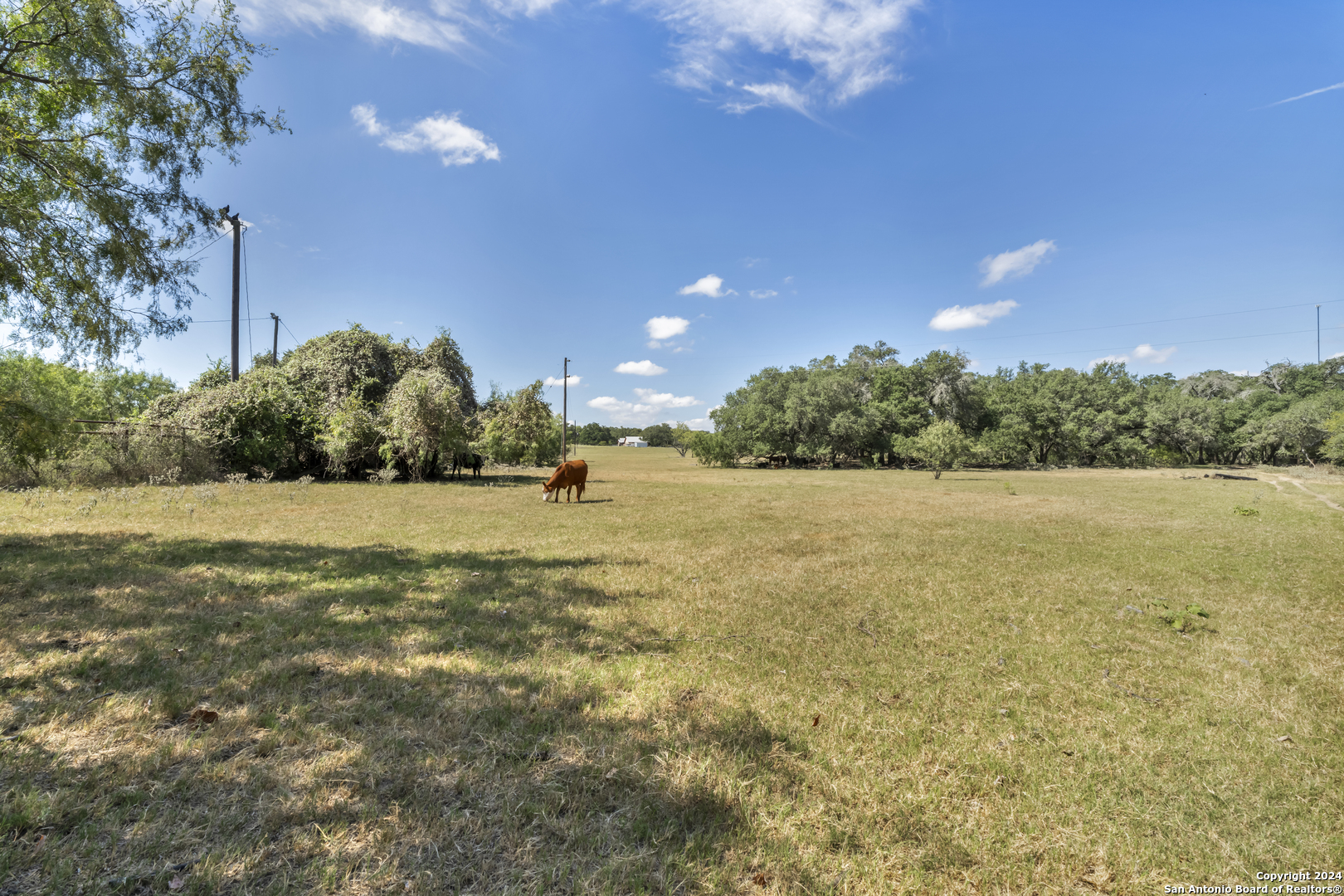 12153 E Us Hwy 87 W La Vernia TX 78121