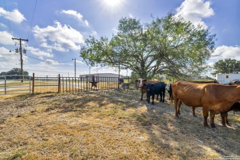 12153 E Us Highway 87 W La Vernia TX 78121