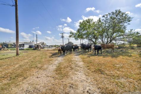12153 E Us Highway 87 W La Vernia TX 78121