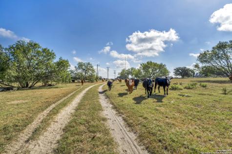 12153 E Us Highway 87 W La Vernia TX 78121