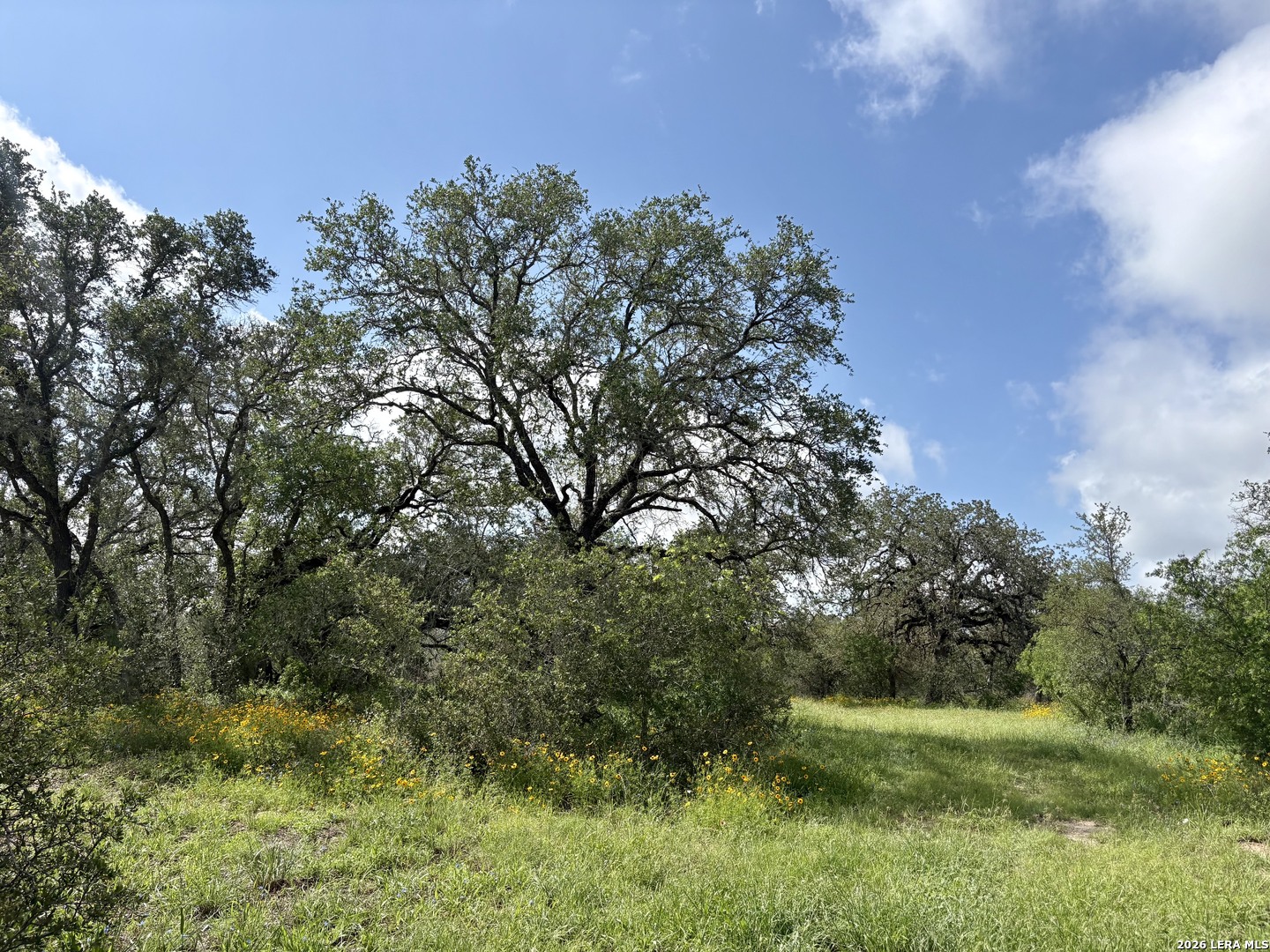 165 Sanctuary Lane Von Ormy TX 78073