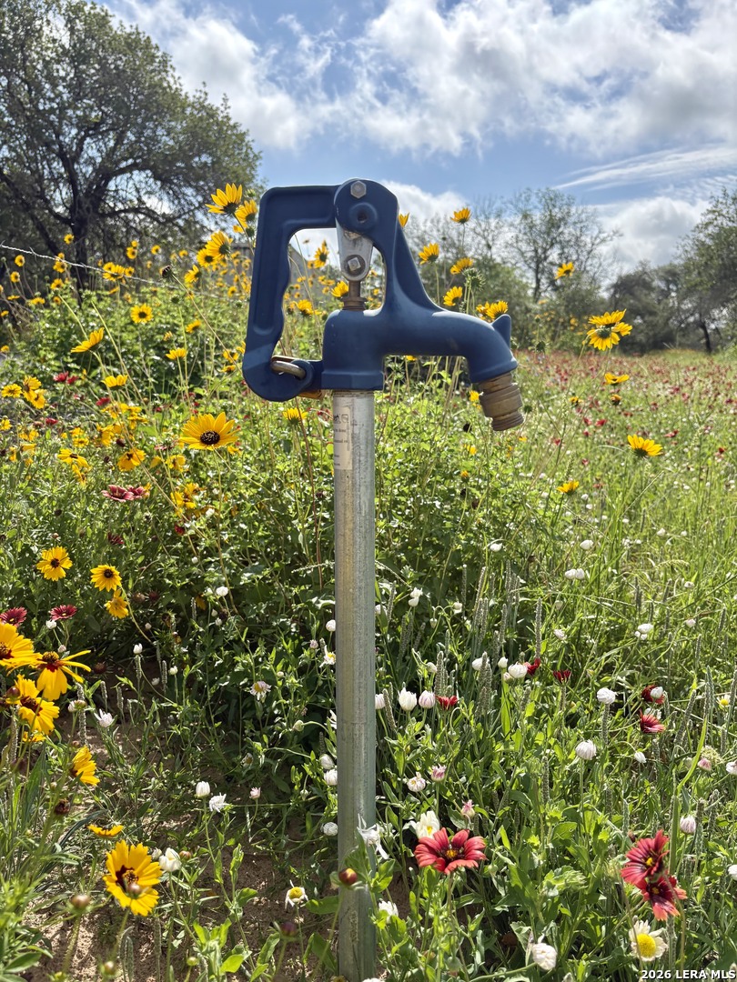 165 Sanctuary Lane Von Ormy TX 78073