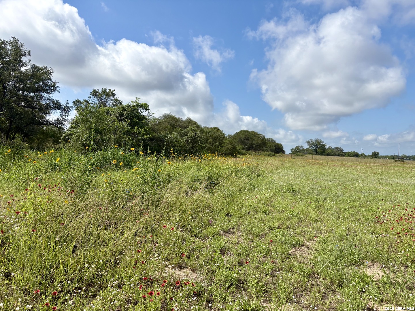 165 Sanctuary Lane Von Ormy TX 78073
