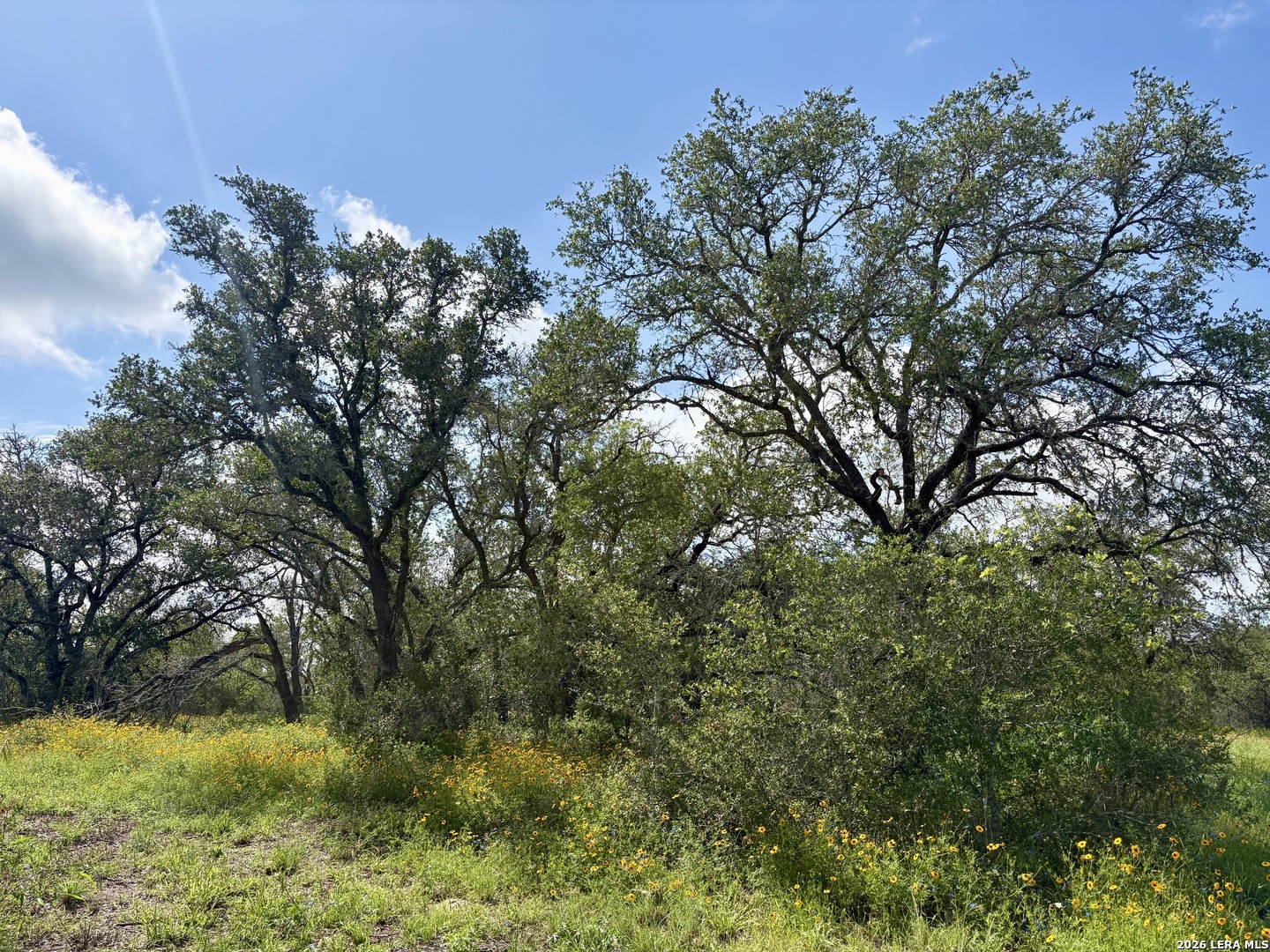 165 Sanctuary Lane Von Ormy TX 78073