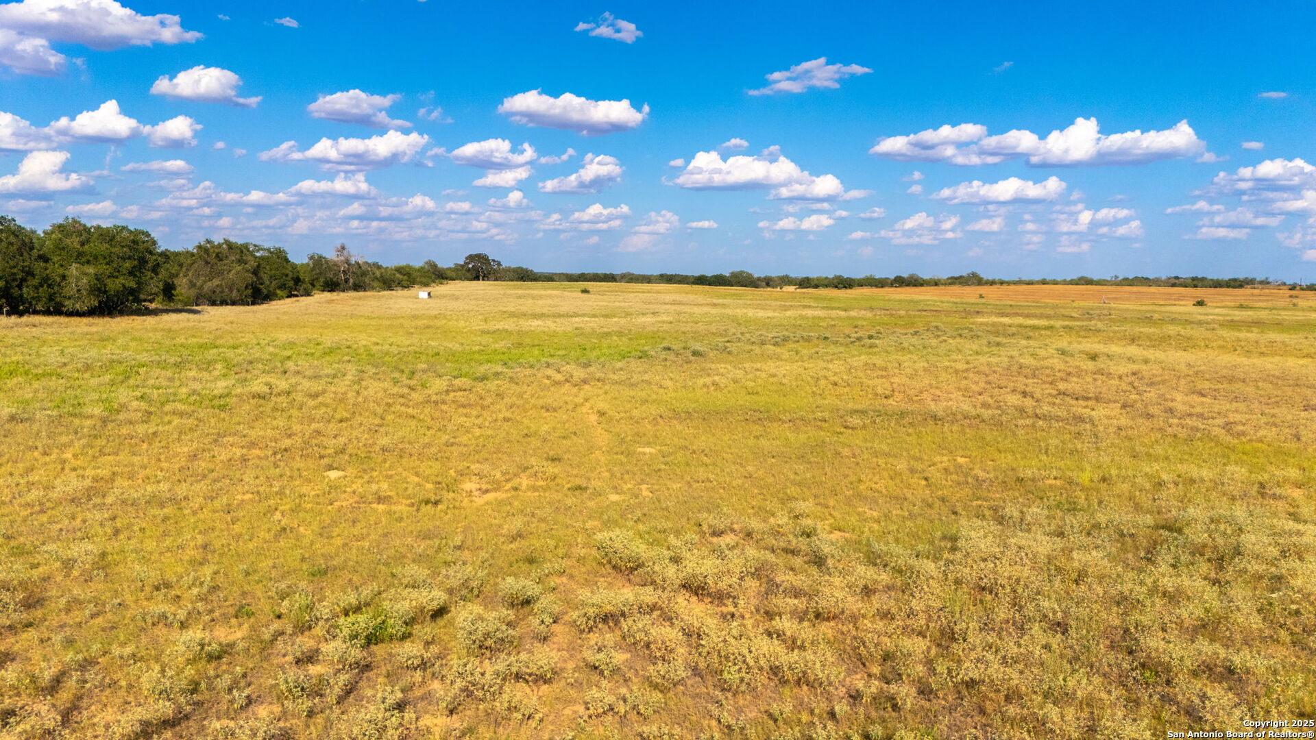 43.79 Acres Bynum Road Floresville TX 78114