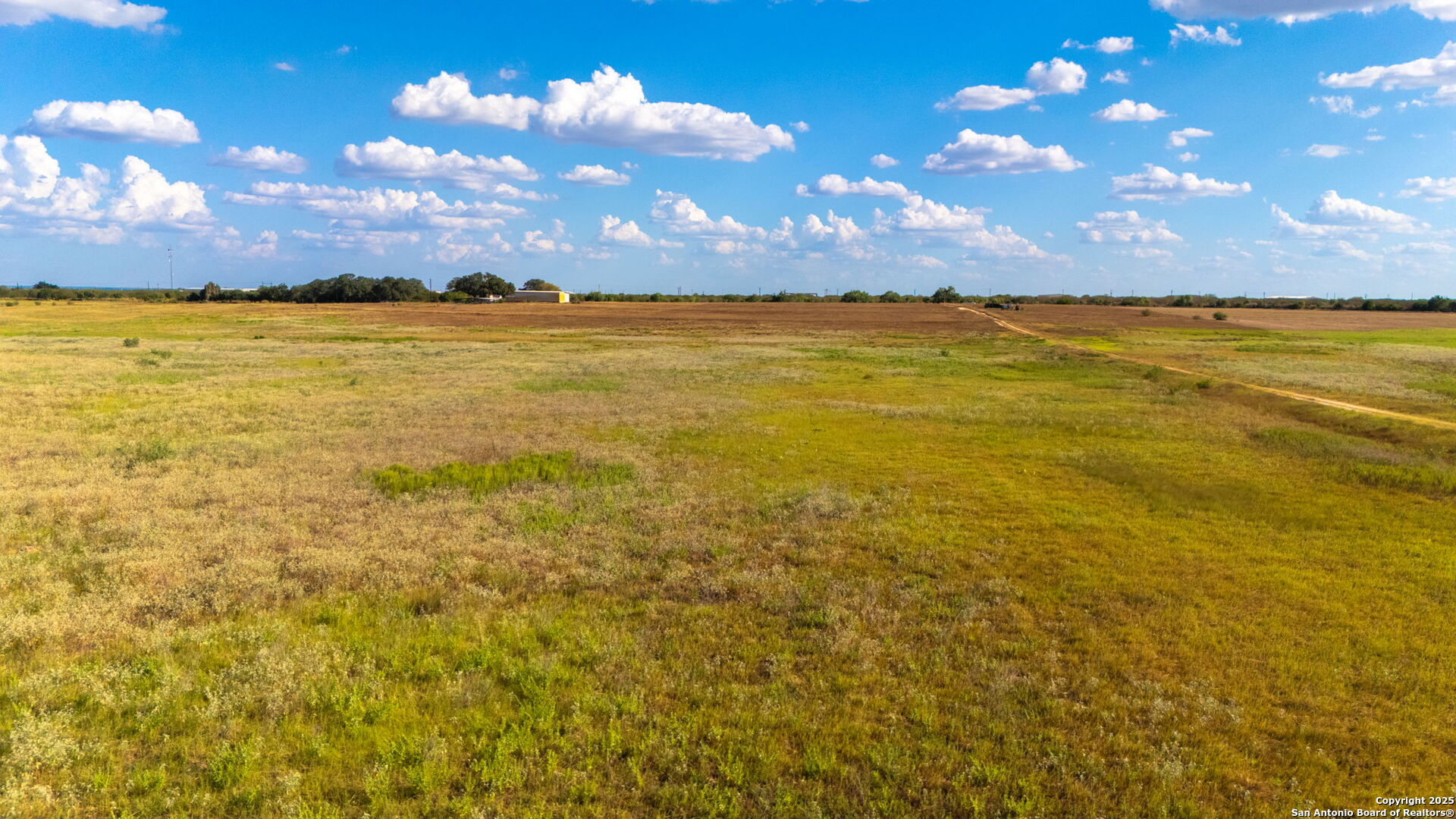 43.79 Acres Bynum Road Floresville TX 78114