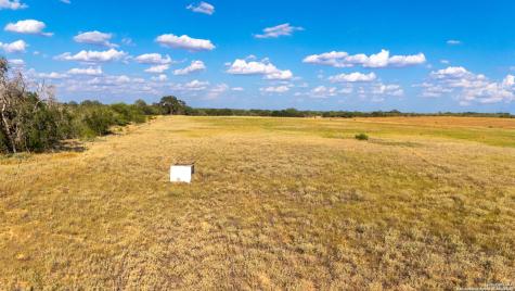 43.79 Acres Bynum Road Floresville TX 78114