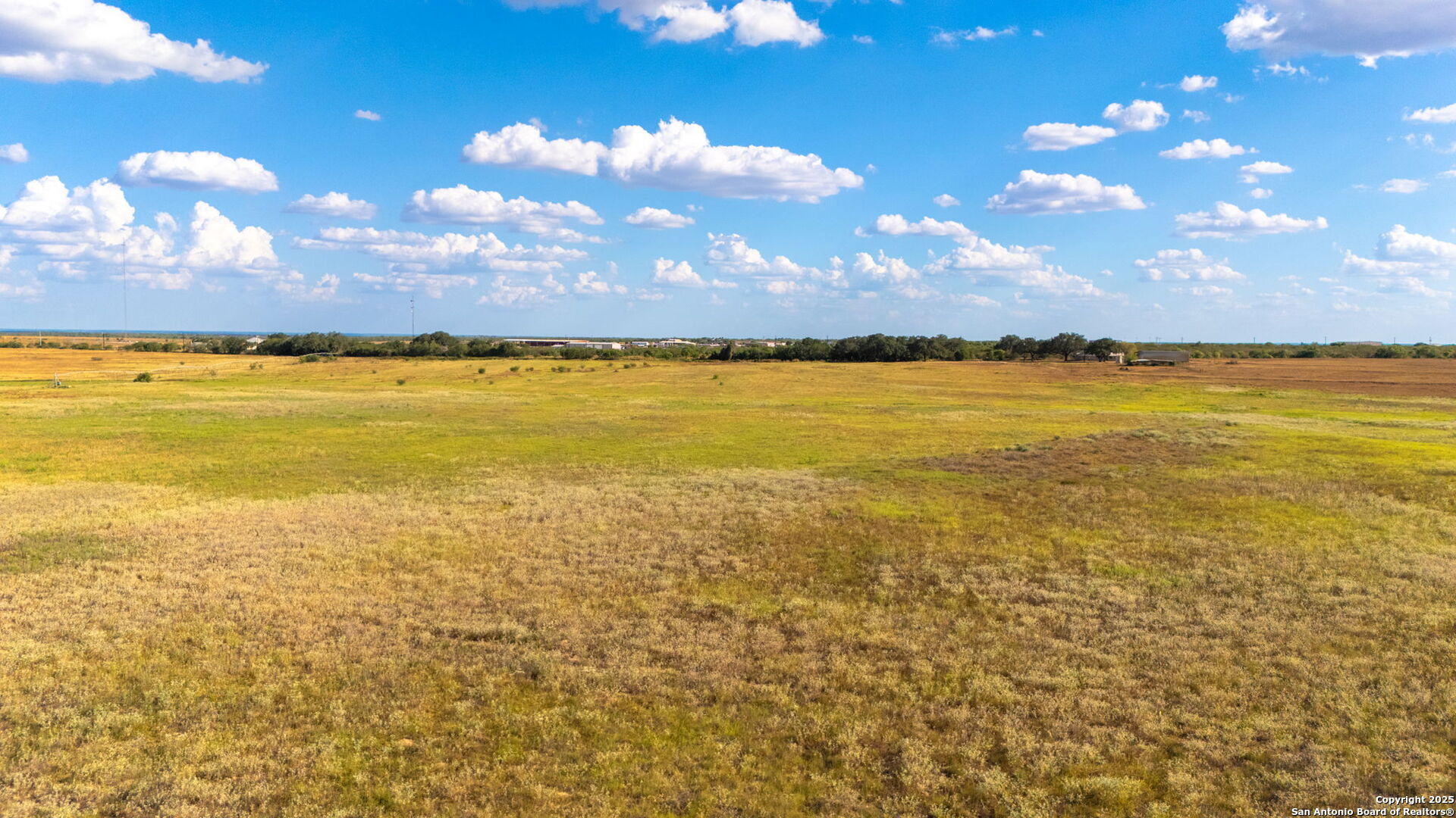 43.79 Acres Bynum Road Floresville TX 78114
