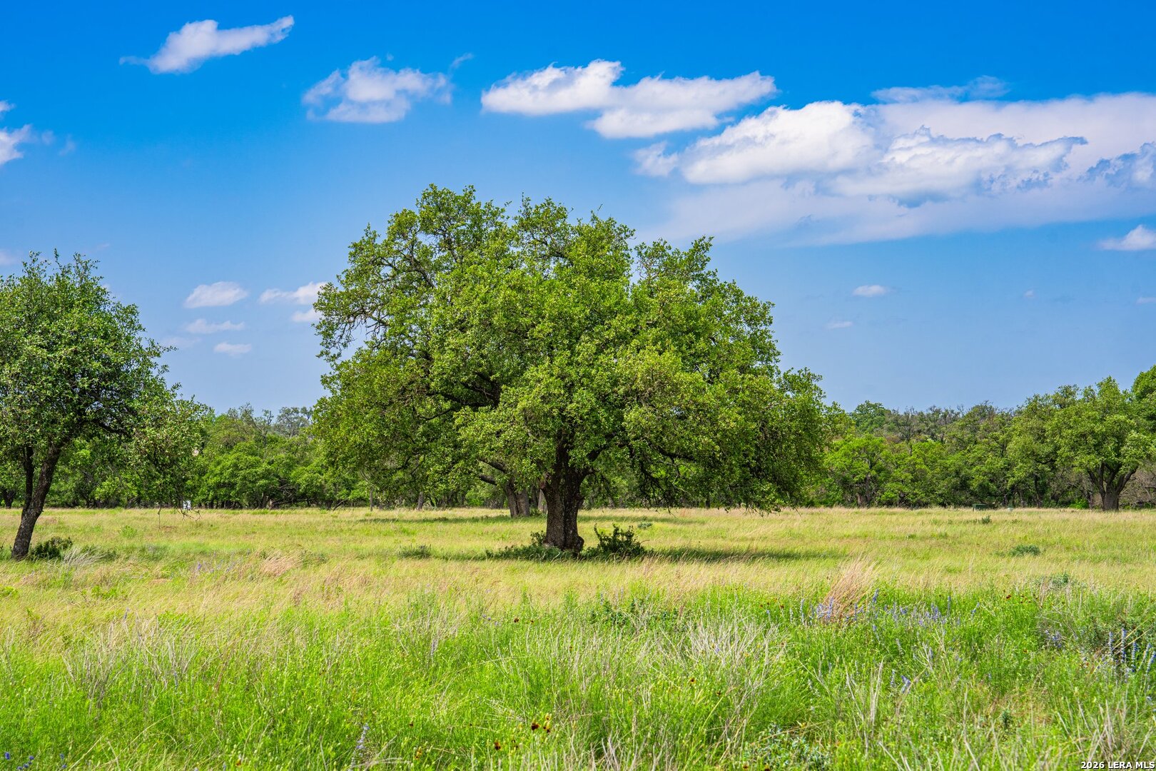 Lot 79 Stock Pond Drive Harper TX 78631