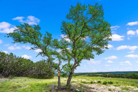 195 Countless Views Drive Kerrville TX 78028