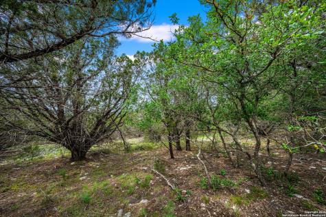 195 Countless Views Drive Kerrville TX 78028