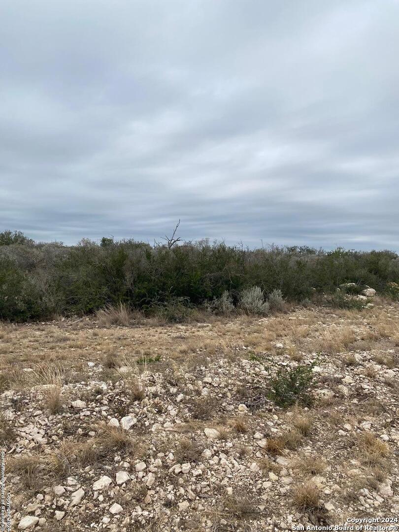 92 Palomino Hills Circle Uvalde TX 78801