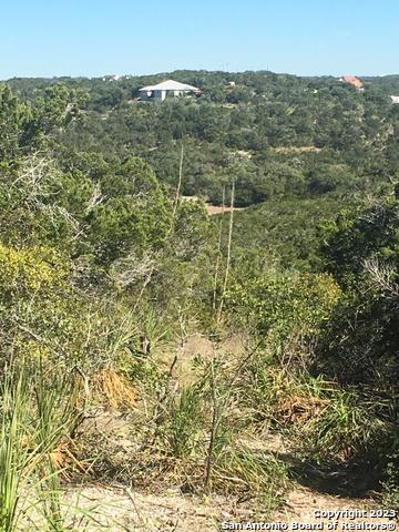 1124 County Road 273 Mico TX 78056