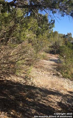1124 County Road 273 Mico TX 78056