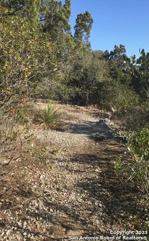 1124 County Road 273 Mico TX 78056