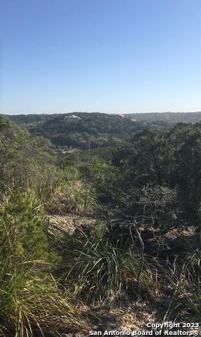 1124 County Road 273 Mico TX 78056