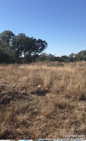 1124 County Road 273 Mico TX 78056