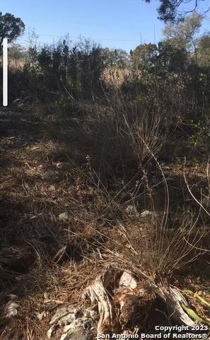 1124 County Road 273 Mico TX 78056