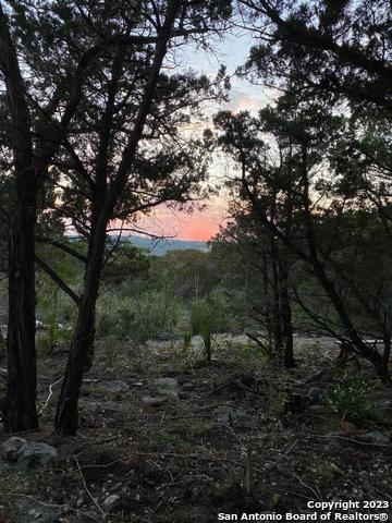 1124 County Road 273 Mico TX 78056
