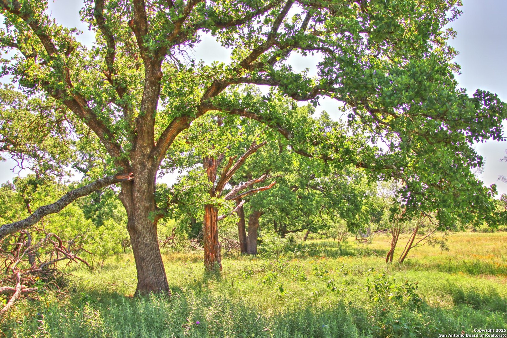 Lot 5 Rm 1323 Willow City TX 78675