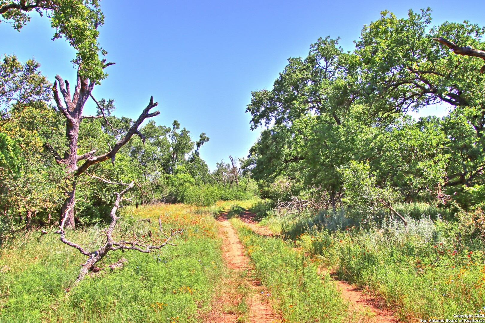 Lot 5 Rm 1323 Willow City TX 78675