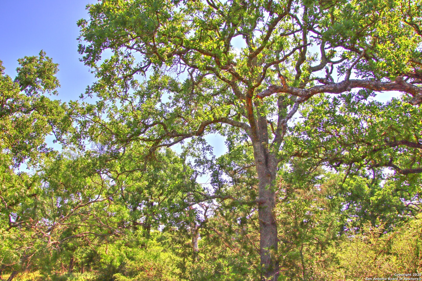 Lot 5 Rm 1323 Willow City TX 78675